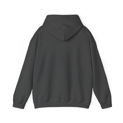 St. Maarten Golf Association Hoodie — Tropical Palm Sunset Golf Pullover